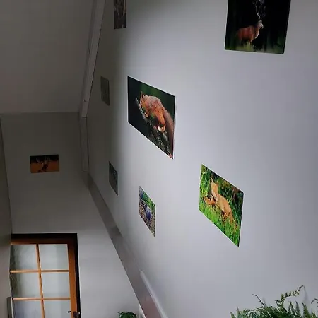 公寓 O Baguenaudes *