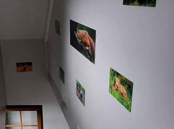 Apartamento ô Baguenaudes *