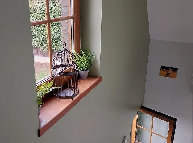 ô Baguenaudes Apartamento *